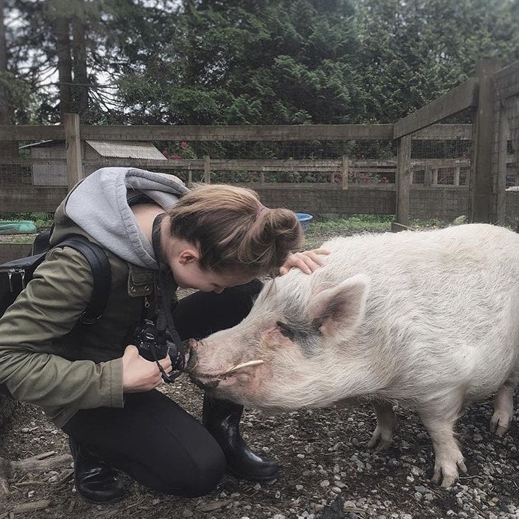 Zimt Founder Emma visiting Comet the pig at a local rescue